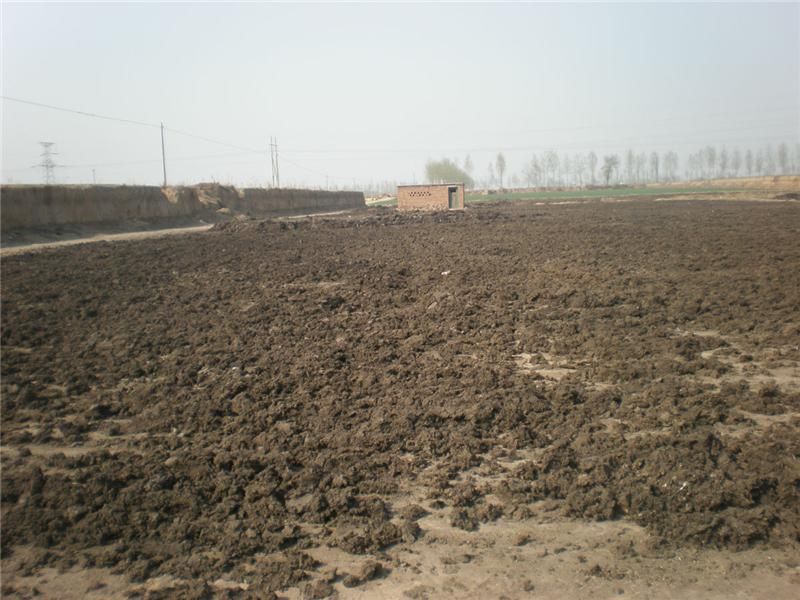 肥料養分檢測儀讓施肥更高效 肥料養分檢測儀讓施肥更高效