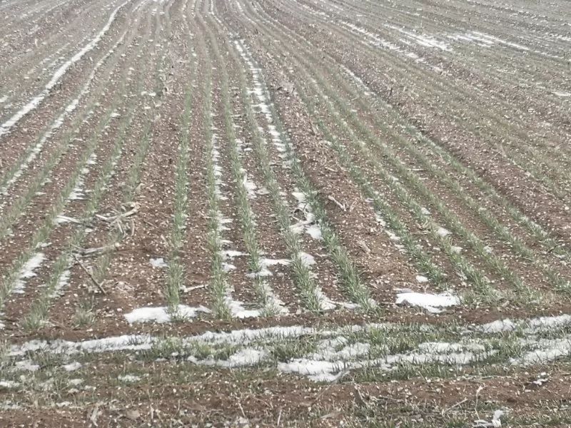 土壤墑情監測系統性能穩定、可靠性高 土壤墑情監測系統性能穩定、可靠性高