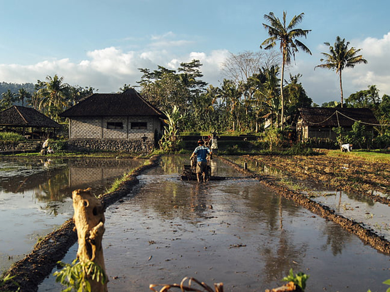 土壤水勢儀的工作原理是什么？操作簡單嗎