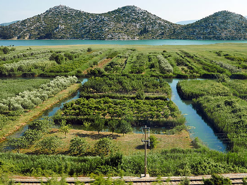 土壤墑情監測儀實現對土壤的高度感知 土壤墑情監測儀實現對土壤的高度感知