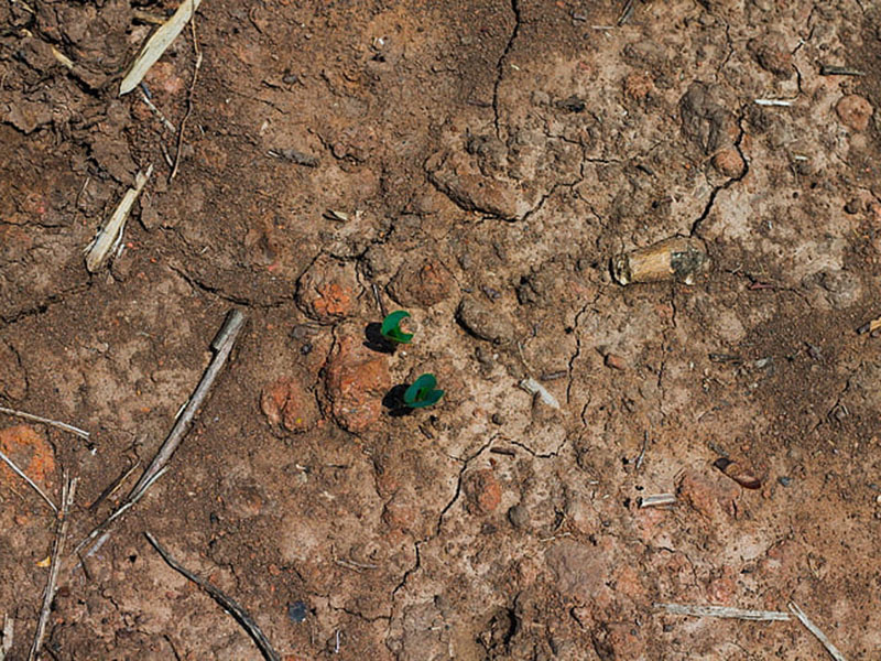 土壤氮磷鉀檢測儀為農戶解決施肥問題 土壤氮磷鉀檢測儀為農戶解決施肥問題