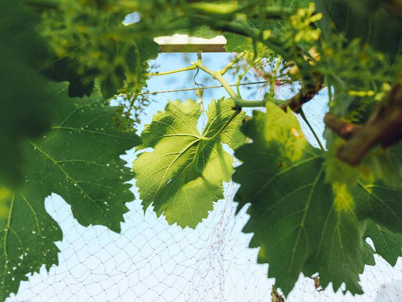 土壤肥料養分速測儀特點 土壤肥料養分速測儀特點