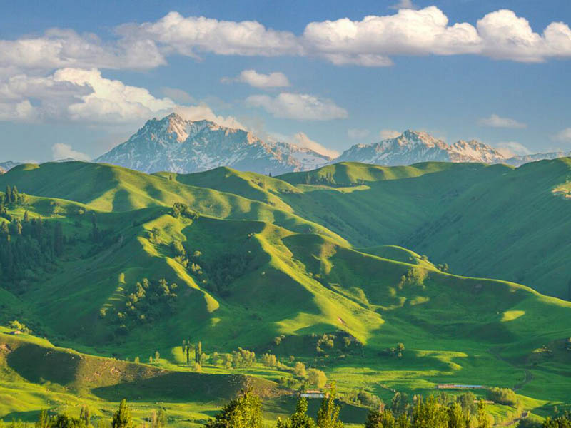 土壤養分檢測儀的作用 土壤養分檢測儀的作用