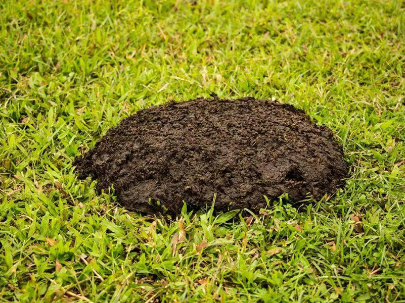 測土配方施肥儀 測土配方施肥儀