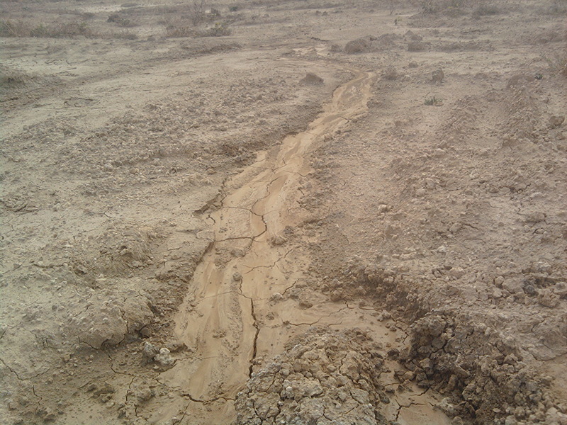 土壤含水量測試儀 土壤含水量測試儀
