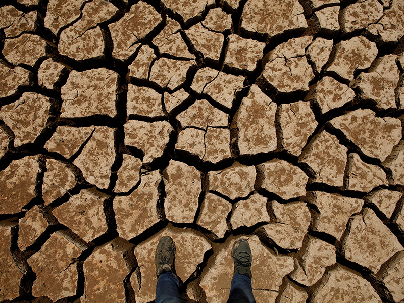 土壤水分測定儀 土壤水分測定儀