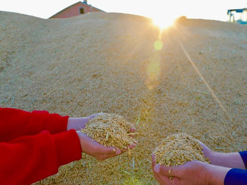 土壤養分檢測儀 土壤養分檢測儀