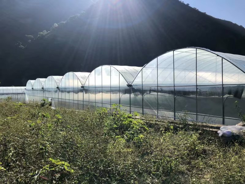 土壤鹽分檢測儀,可輔助溫室大棚種植 土壤鹽分檢測儀,可輔助溫室大棚種植