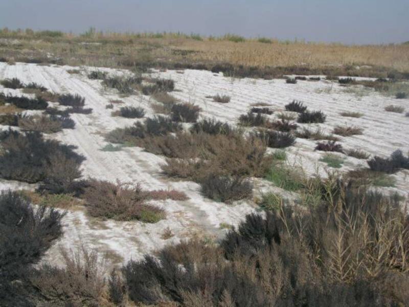 檢測土壤中的鹽分用哪款設備 檢測土壤中的鹽分用哪款設備