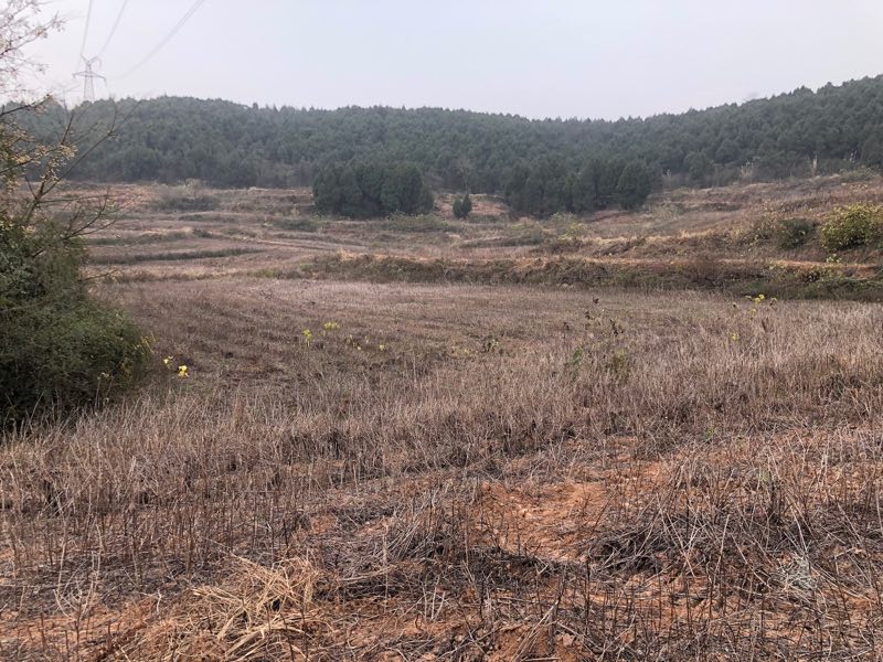 高智能土壤檢測儀，方便進行數據管理