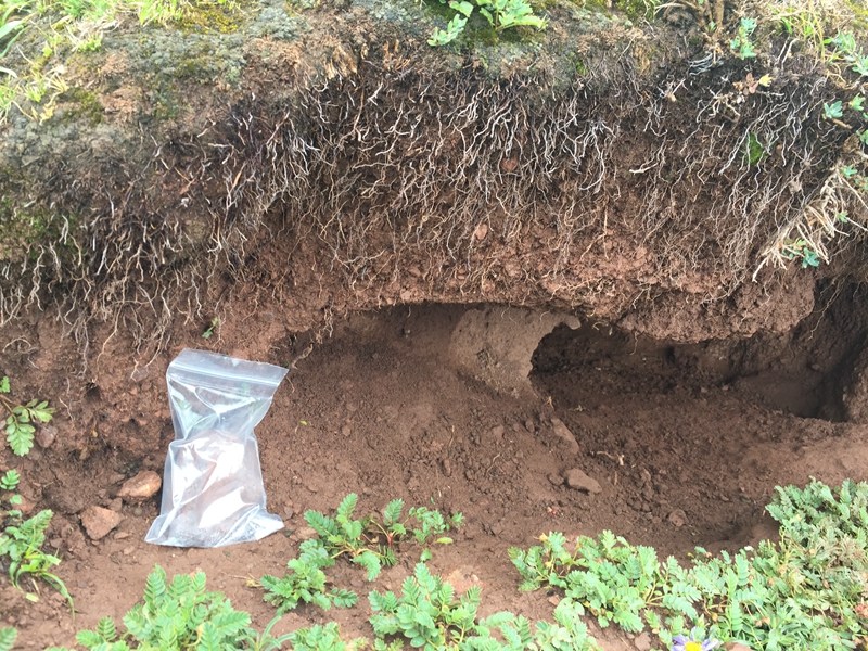 土壤原位鹽分速測儀用于節水灌溉工作 土壤原位鹽分速測儀用于節水灌溉工作